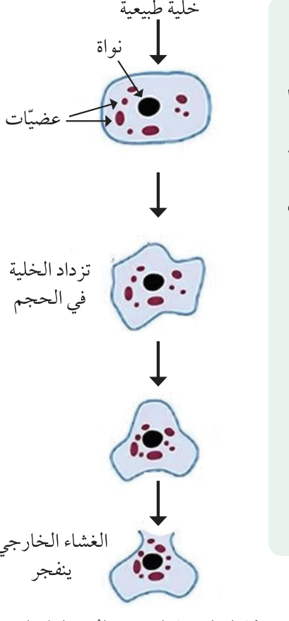 تحقّق ممّا تعلمت: الموت غير المبرمج