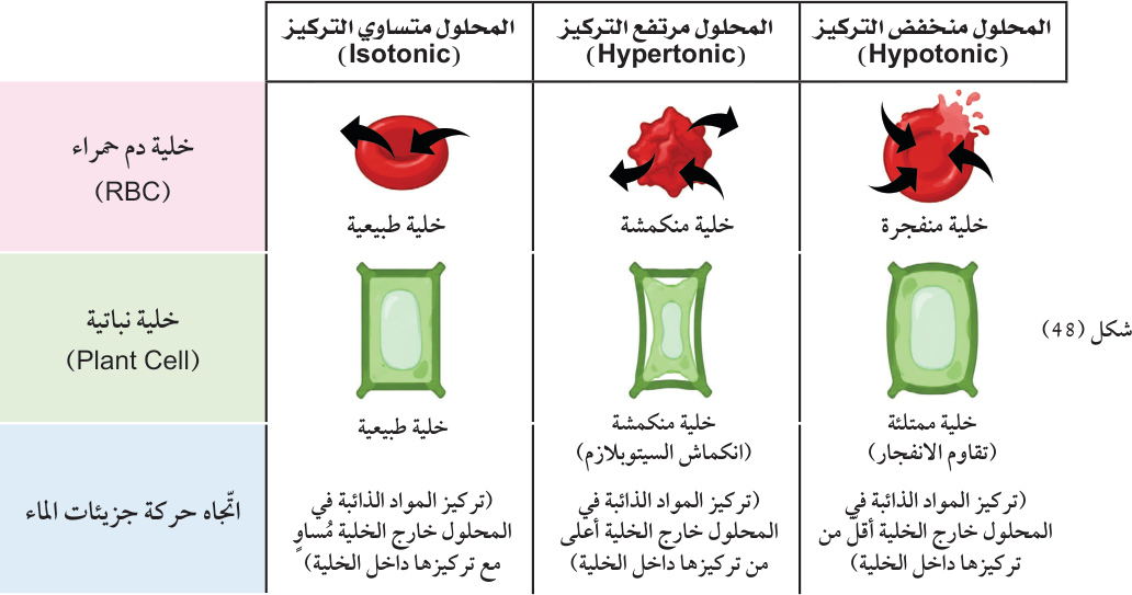 سؤال داخل المتن (صفحة 70): وصف شكل الخلايا في المحاليل الثلاثة