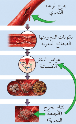 تقويم الدرس 2-2 / السؤال الثالث