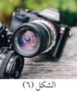 الشكل (٦)