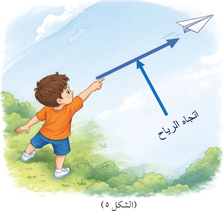 (الشكل ٥)