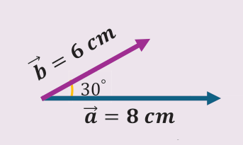 شكل مثال (1): b⃗ = 6 cm ، a⃗ = 8 cm ، الزاوية بينهما 30°