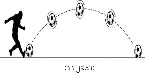 (الشكل ١١)