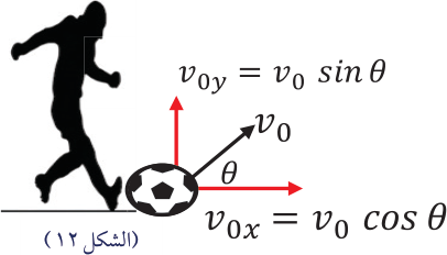 (الشكل ١٢)