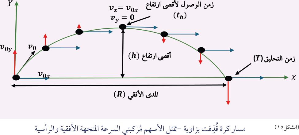 (الشكل ١٥) مسار كرة قُذِفت بزاوية - تمثل الأسهم مُركبتي السرعة المتجهة الأفقية والرأسية