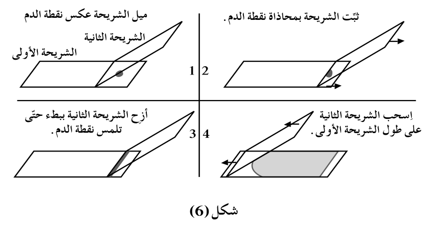 شكل (6)