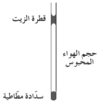 شكل (1)