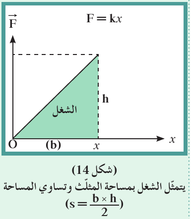 (شكل14) يمثّل الشغل مساحة المثلث وتساوي المساحة (s=(b×h)/2)